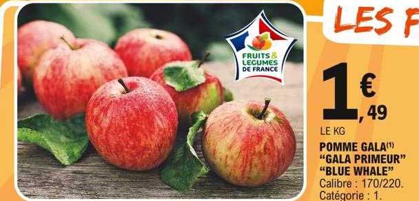 pomme gala "gala primeur" "blue whale"