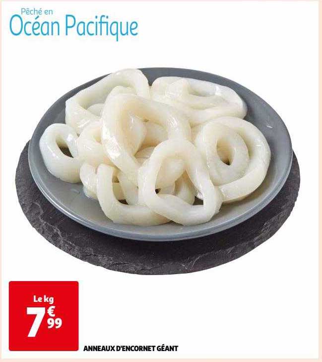 anneaux d'encornet géant