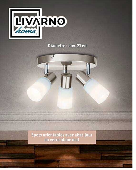 Spots Orientables Avec Abat-jour En Verre Blanc Mat Livarno Home