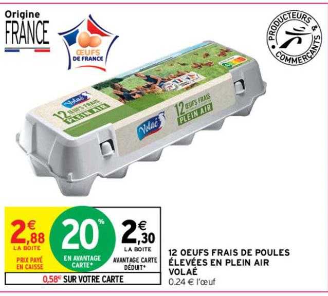 12 œufs frais de poules élevées en plein air volaé