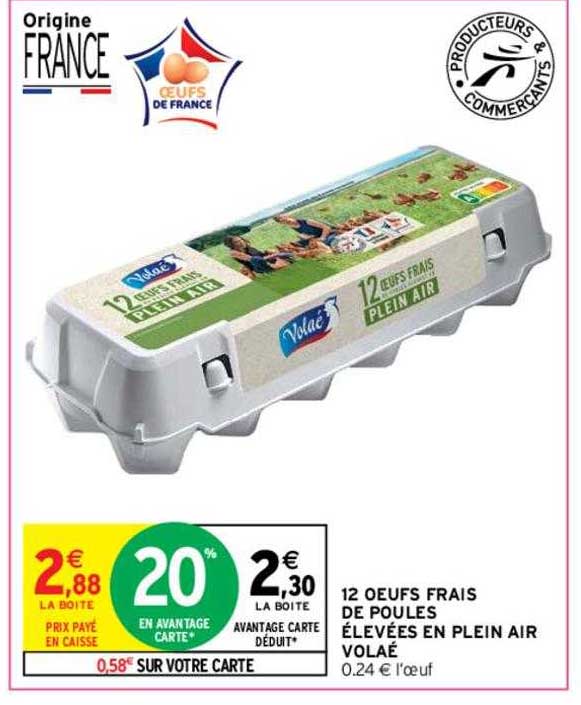 12 œufs frais de poules élevées en plein air volaé