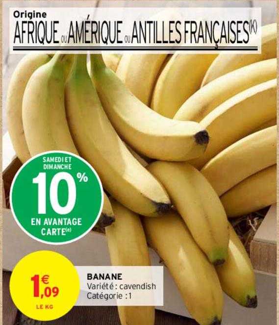 Banane Cavendish