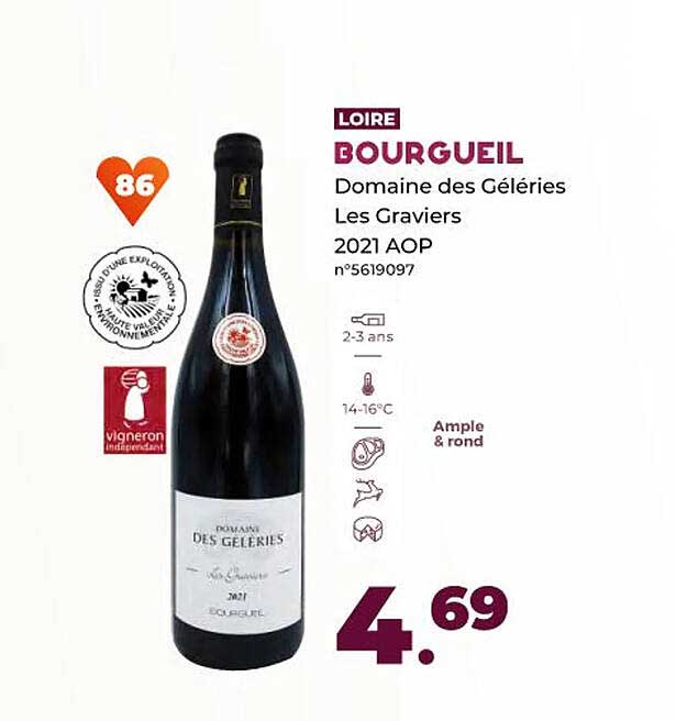 bourgueil domaine des géléries les graviers 2021 aop
