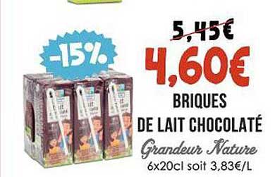 brique de lait chocolaté grandeur nature