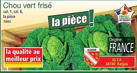 chou vert frisé
