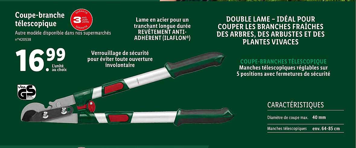 Coupe-branche Télescopique Parkside