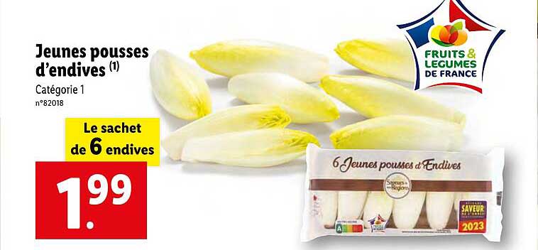 jeunes pousses d'endives