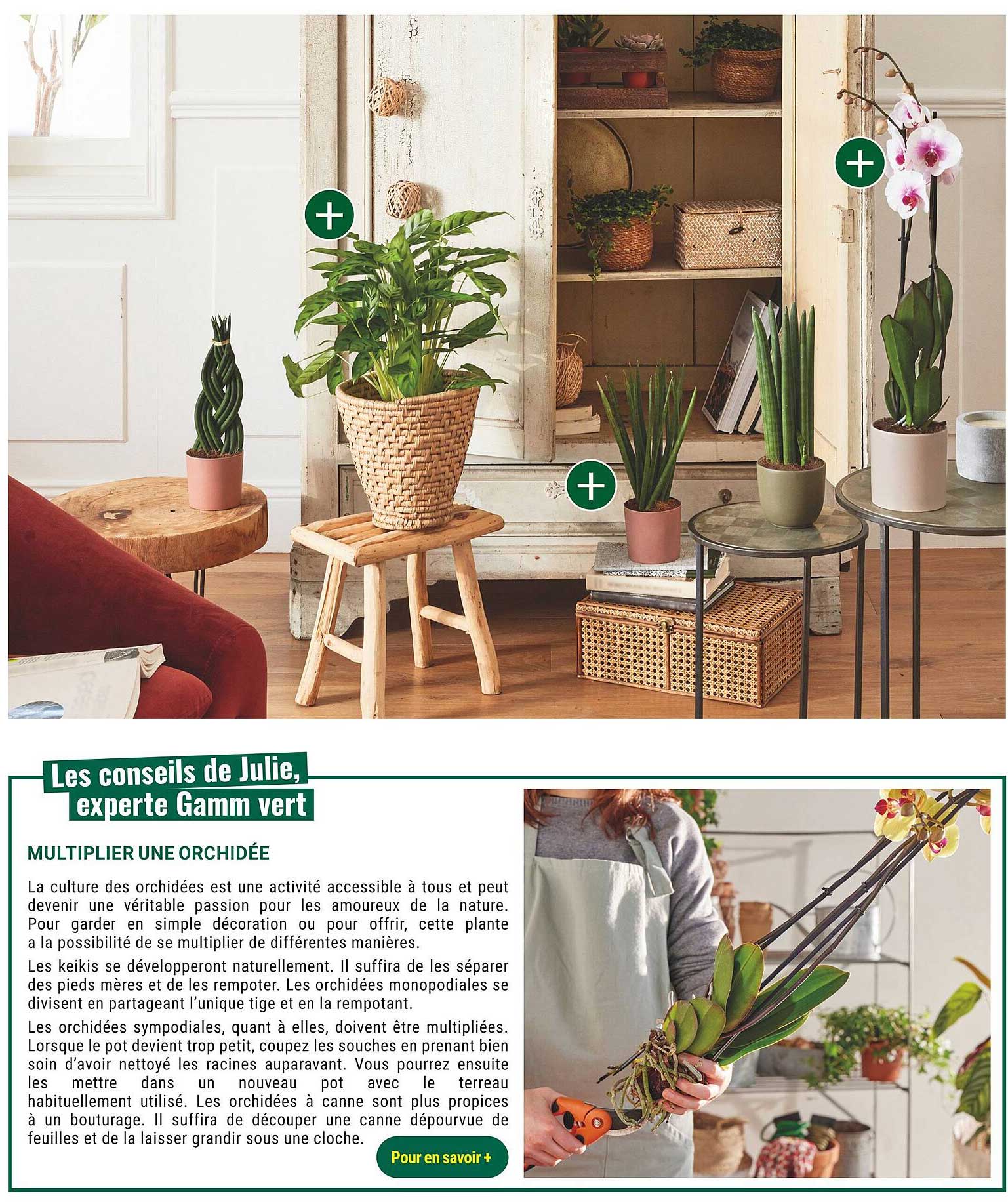 les conseils de julie, experte gamm vert