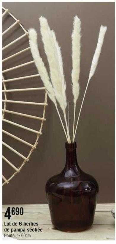 lot de 6 herbes de pampa séchée