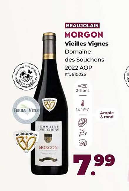 morgon vieilles vignes domaine des souchons 2022 aop
