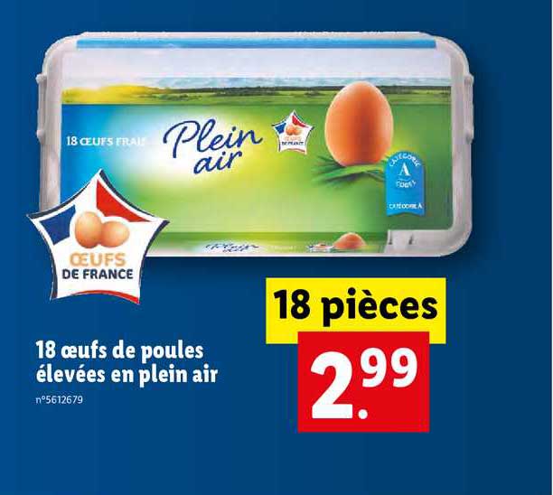 18 oeufs de poules élevées en plein air