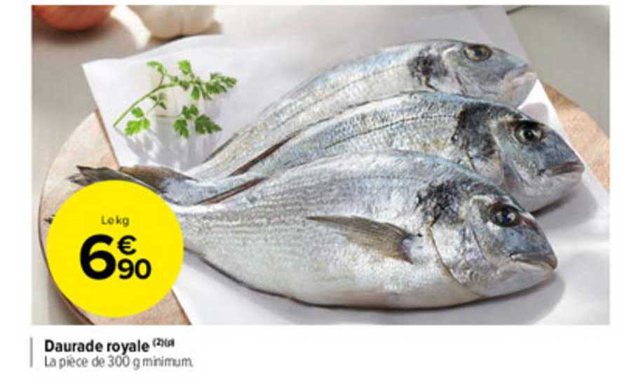 Daurade Royale