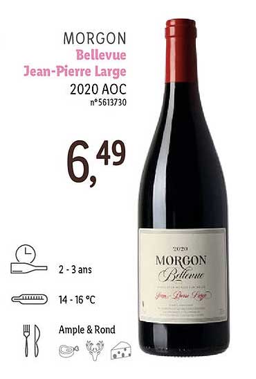 Morgon Bellevue Jean-pierre Large 2020 Aoc