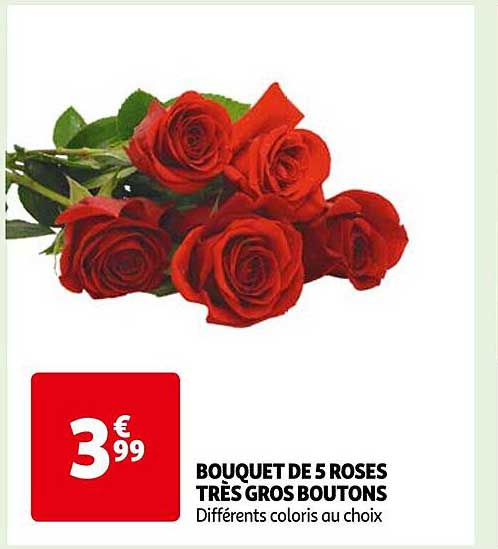bouquet de 5 roses très gros boutons