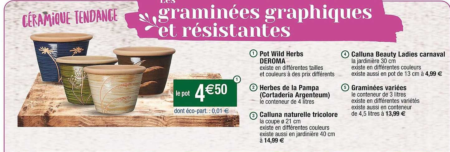 opot wild herbs, herbes de la pampa, calluna naturelle tricolore, calluna beauty ladies carnaval, graminées variées