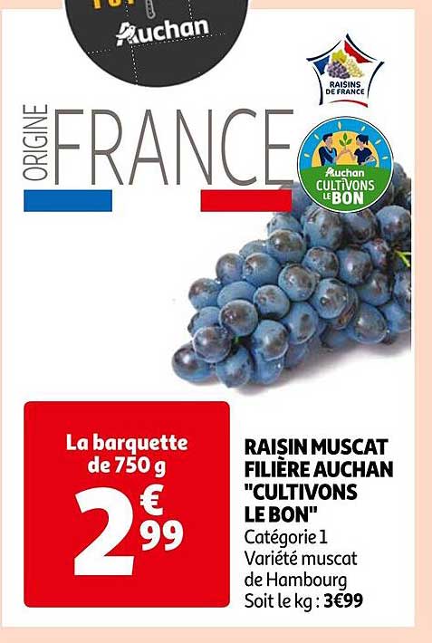 raisin muscat filière auchan "cultivons le bon"