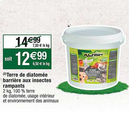 terre de diatomée barrière aux insectes rampants