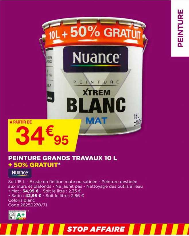 peinture grands travaux 10l + 50% gratuit nuance