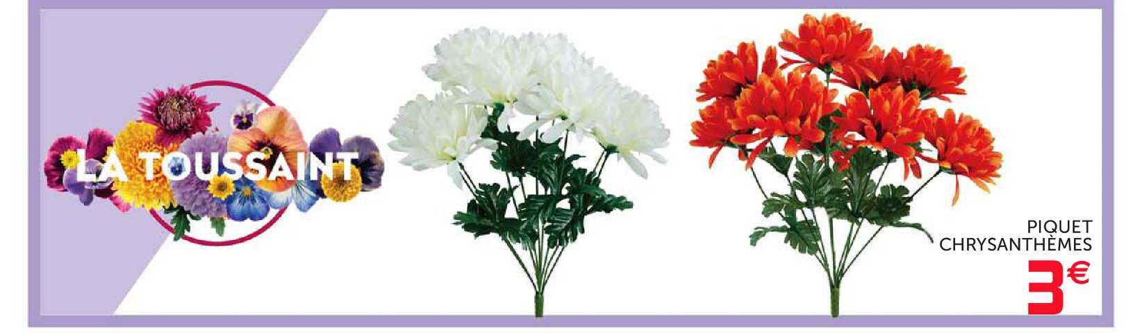 Piquet Chrysanthèmes