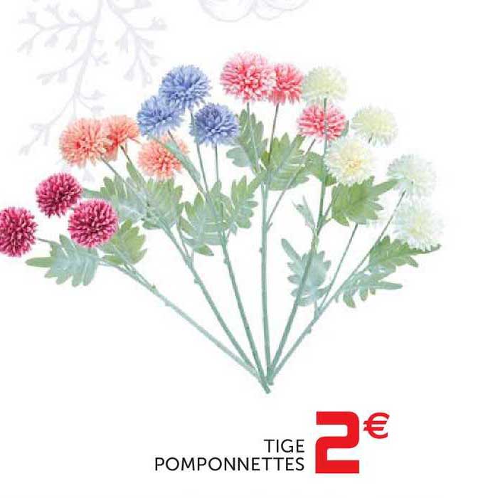 tige pomponnettes