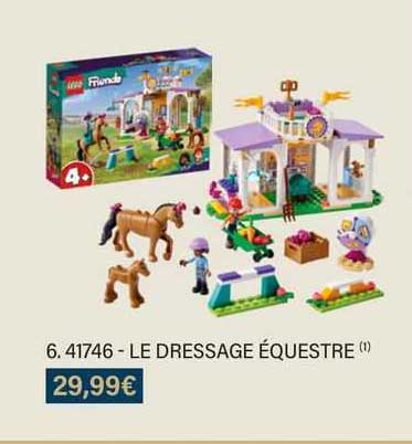 41746 - le dressage équestre