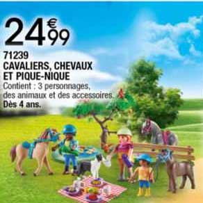 71239 cavaliers, chevaux et pique-nique