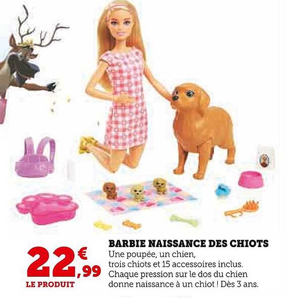barbie naissance des chiots