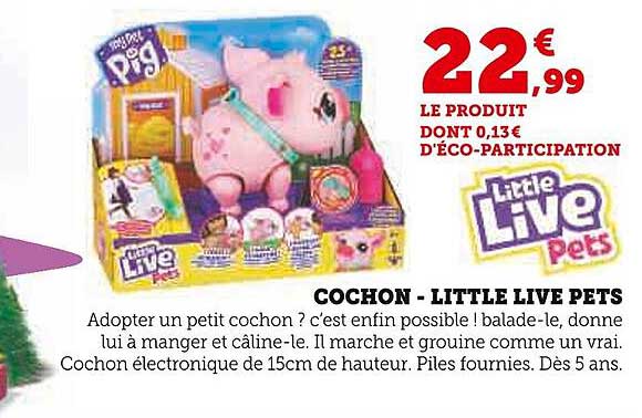 cochon - little live pets