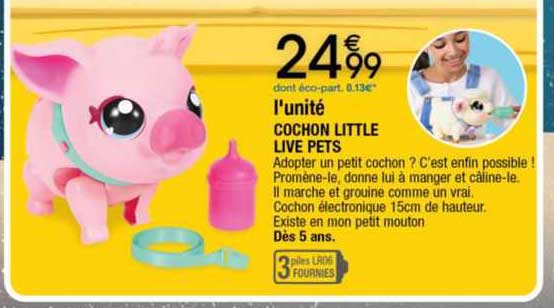 cochon little live pets