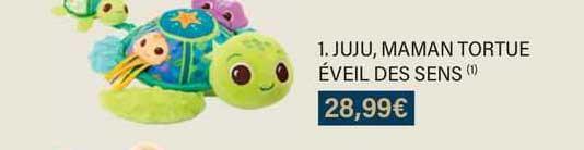 juju, maman tortue éveil des sens