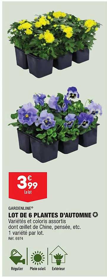 lot de 6 plantes d'automne gardenline