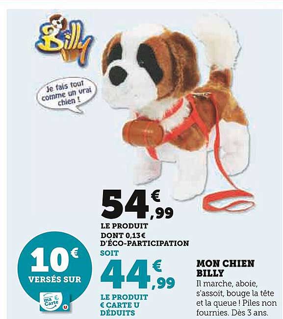 mon chien billy