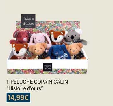 Peluche Copain Câlin "histoire D'ours"