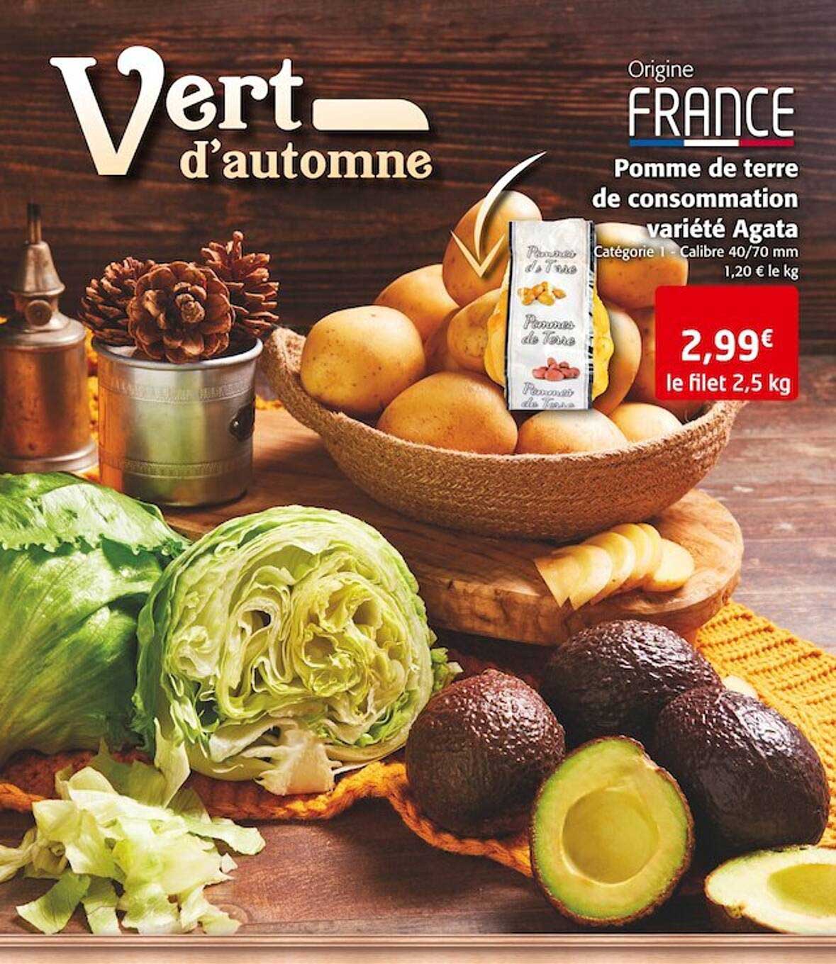 pomme de terre de consommation variété agata