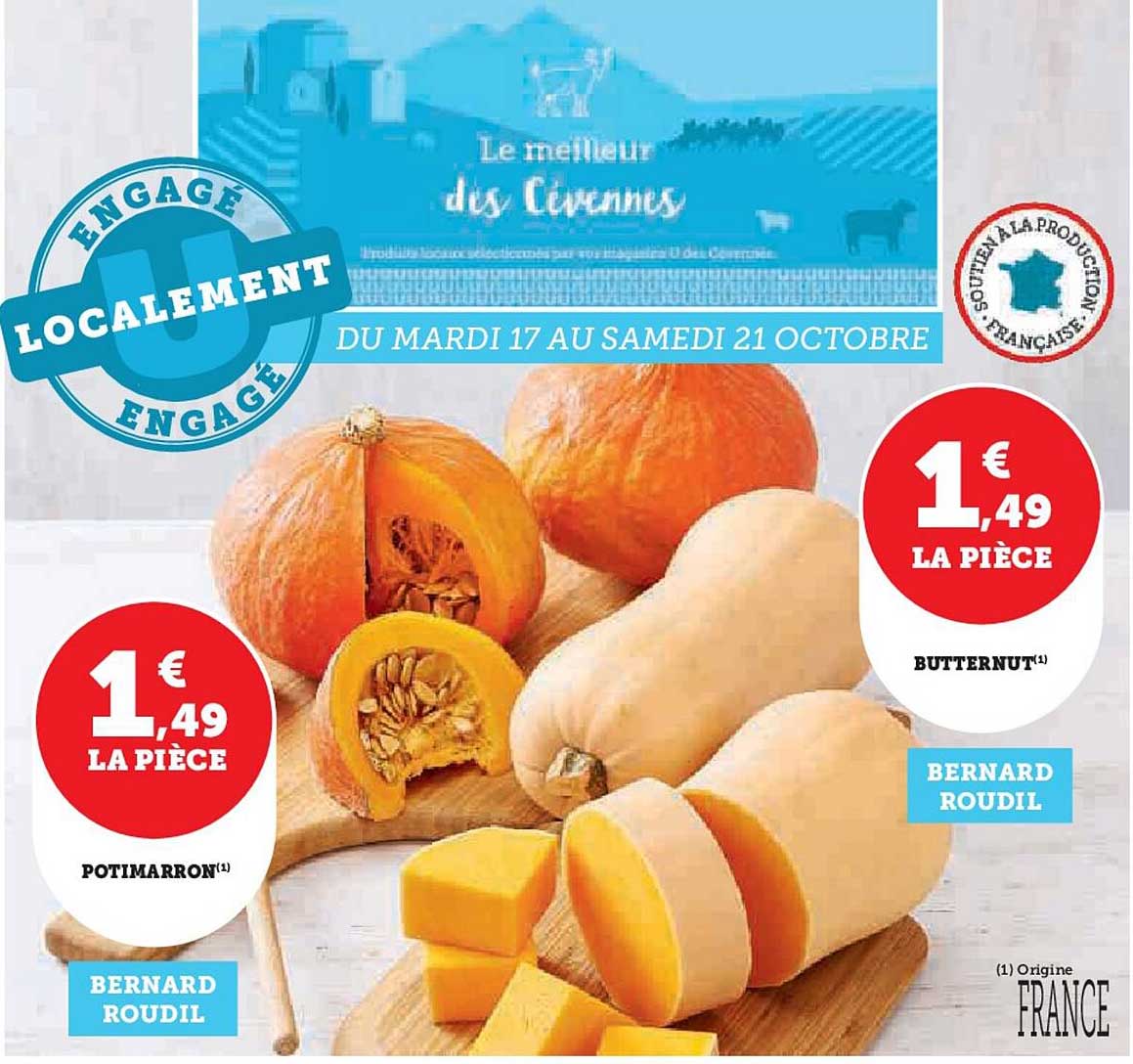 Potimarron, Butternut