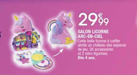 salon licorne arc-en-ciel