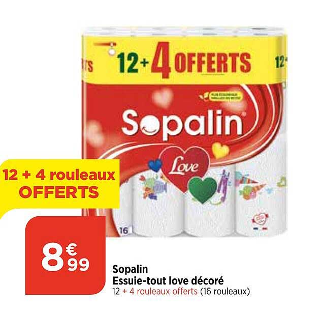 sopalin essuie-tout love décoré