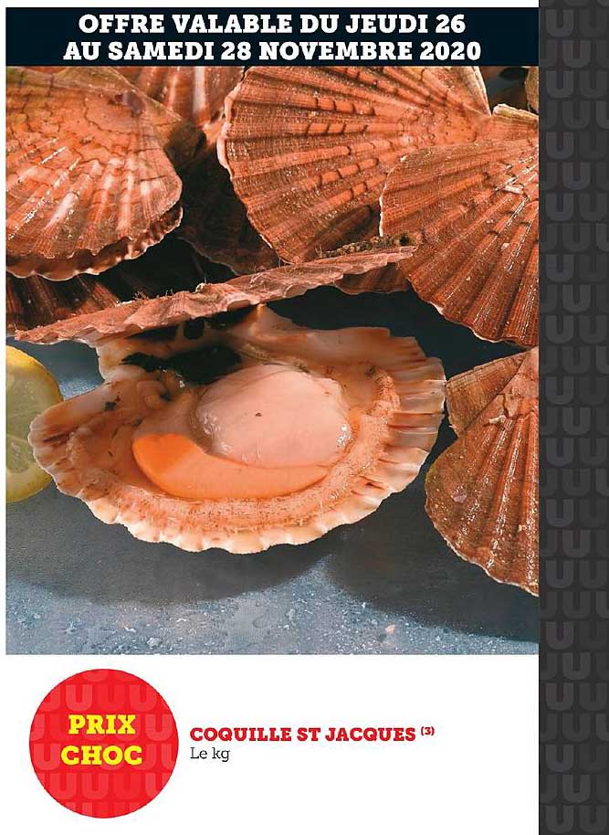 coquille st jacque