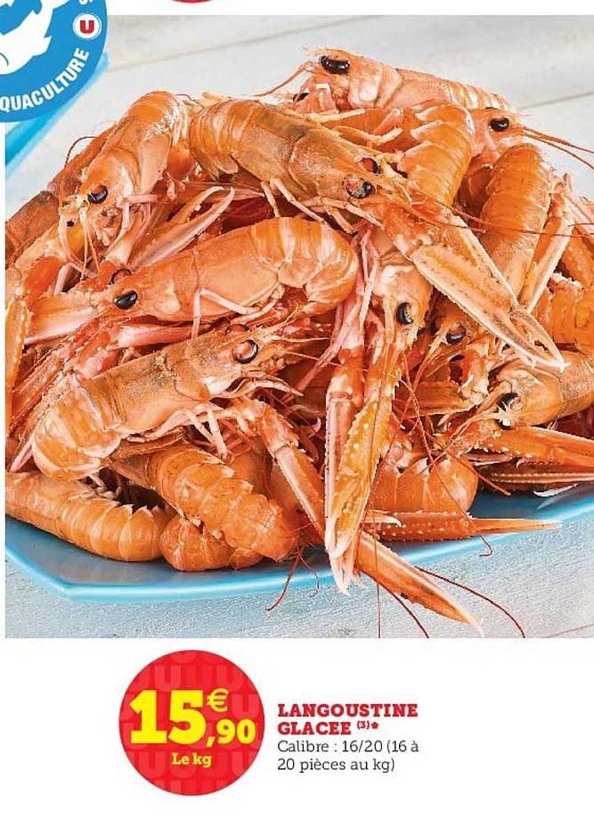 Langoustine Glacée