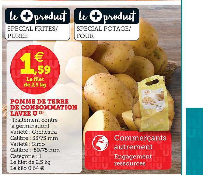 Pomme De Terre De Consommation Lavée U