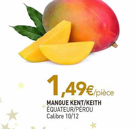 mangue kent - keith équateur-pérou