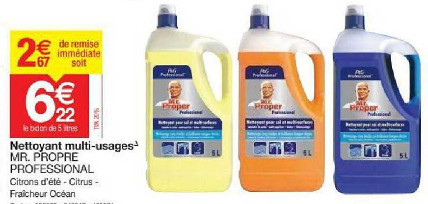 nettoyant multi-usages mr. propre professional