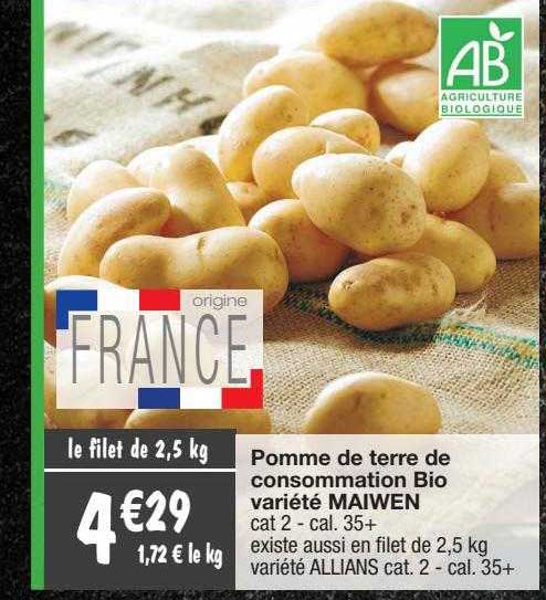 pomme de terre de consommation bio variété maiwen