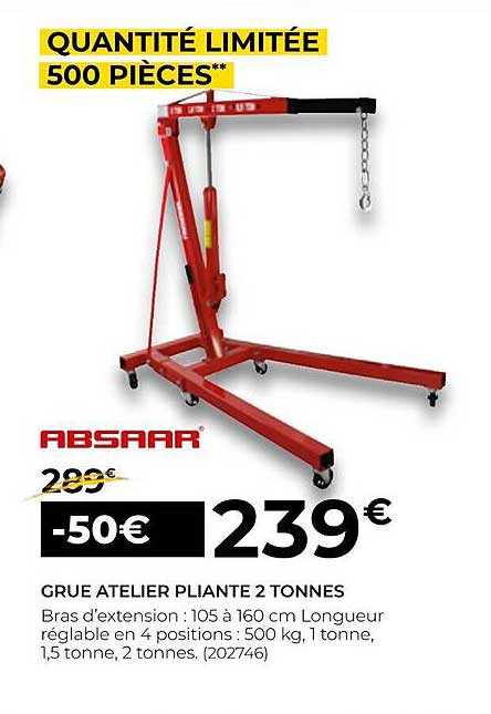 grue atelier pliante 2 tonnes absaar