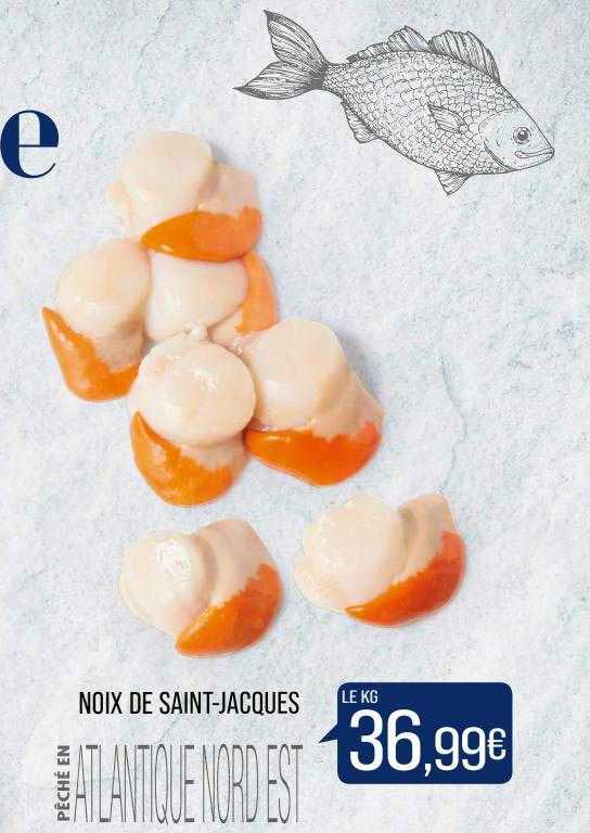 noix de saint-jacques