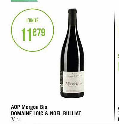 aop morgon bio domaine loïc & noël bulliat