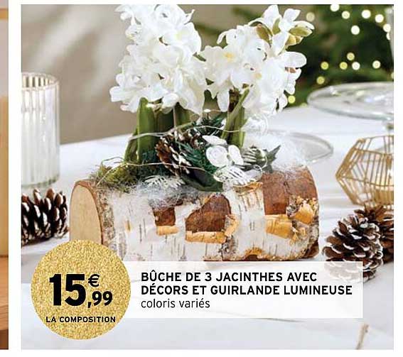 bûche de 3 jacinthes avec décors et guirlande lumineuse