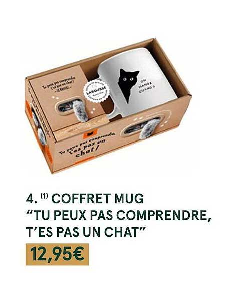 coffret mug "tu peux pas comprendre, t'es pas un chat"