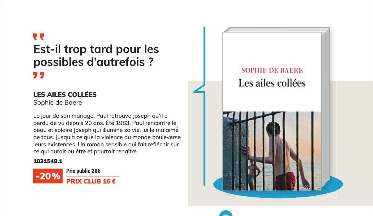 les ailes collées - sophie de baere