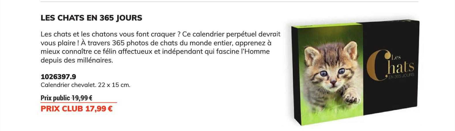 les chats en 365 jours